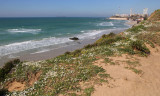 Givat-Olga_19-3-2019 (70).JPG