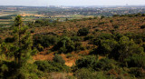 Zihron Yaakov