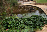 Karmiel_7-11-2020 (99).JPG