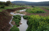 Nahal Tsipori