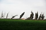 Once there was a tree.jpg