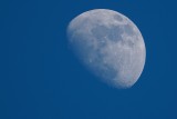 Moon in late afternoon over Wakodahatchee
