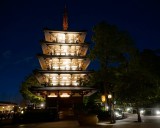 Japan pagoda at night
