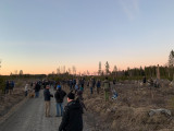 Wilson snipe - twitchers