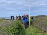 Syke's warbler - twitchers & dippers