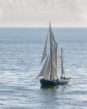 Snark off Dartmouth 15-10-19.jpg
