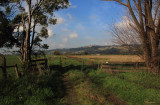 Cloverlea