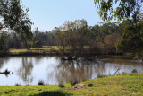 Latrobe River - Newborough