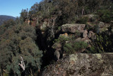 From the walk to Powers Lookout