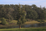  Warragul South
