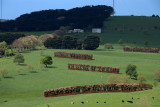 Shade Protection for Livestock