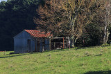 Warragul South