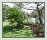 Along the Garden Fence