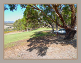 Parking in the shade.