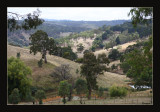 Our view in late summer