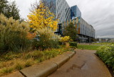 Salford Quays - Colour