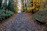 Old Lenses Down the Clough