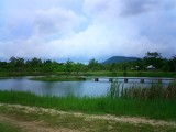 Reflecting ponds, Suan Mokkh