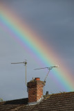 181:365Rainbow Chaser