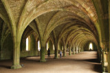 205. Fountains Abbey: cellarium