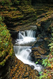 Watkins Glen State Park