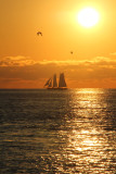 Sunset/Key West