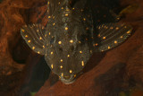 MP_002.jpg