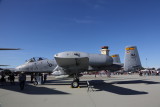 7T0A2670.JPG