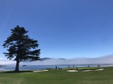 IMG_9352.jpg