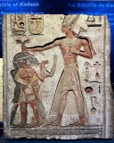 IMG_5585.JPG
