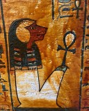 IMG_5586.JPG