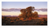 The Flinders Ranges 2018