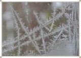 Frost patterns