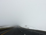 IMG_6584.jpg
