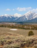 IMG_6779.jpg