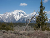 IMG_6784.jpg
