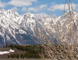 IMG_6796.jpg