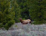 IMG_0259.jpg