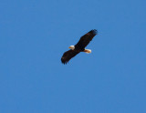 IMG_6811.jpg