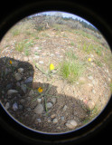 IMG_6829.jpg