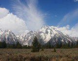 IMG_6832.jpg