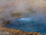 IMG_0482.jpg