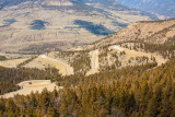 IMG_7100.jpg