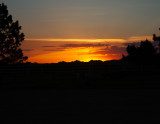 IMG_0643.jpg