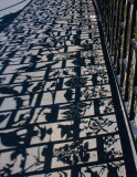 IMG_7186.jpg