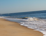 IMG_1829.jpg