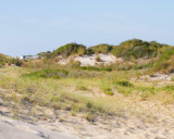 IMG_1846.jpg