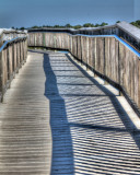 IMG_1853_4_5_tonemapped.jpg