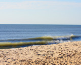 IMG_7718.jpg