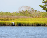 IMG_7756.jpg